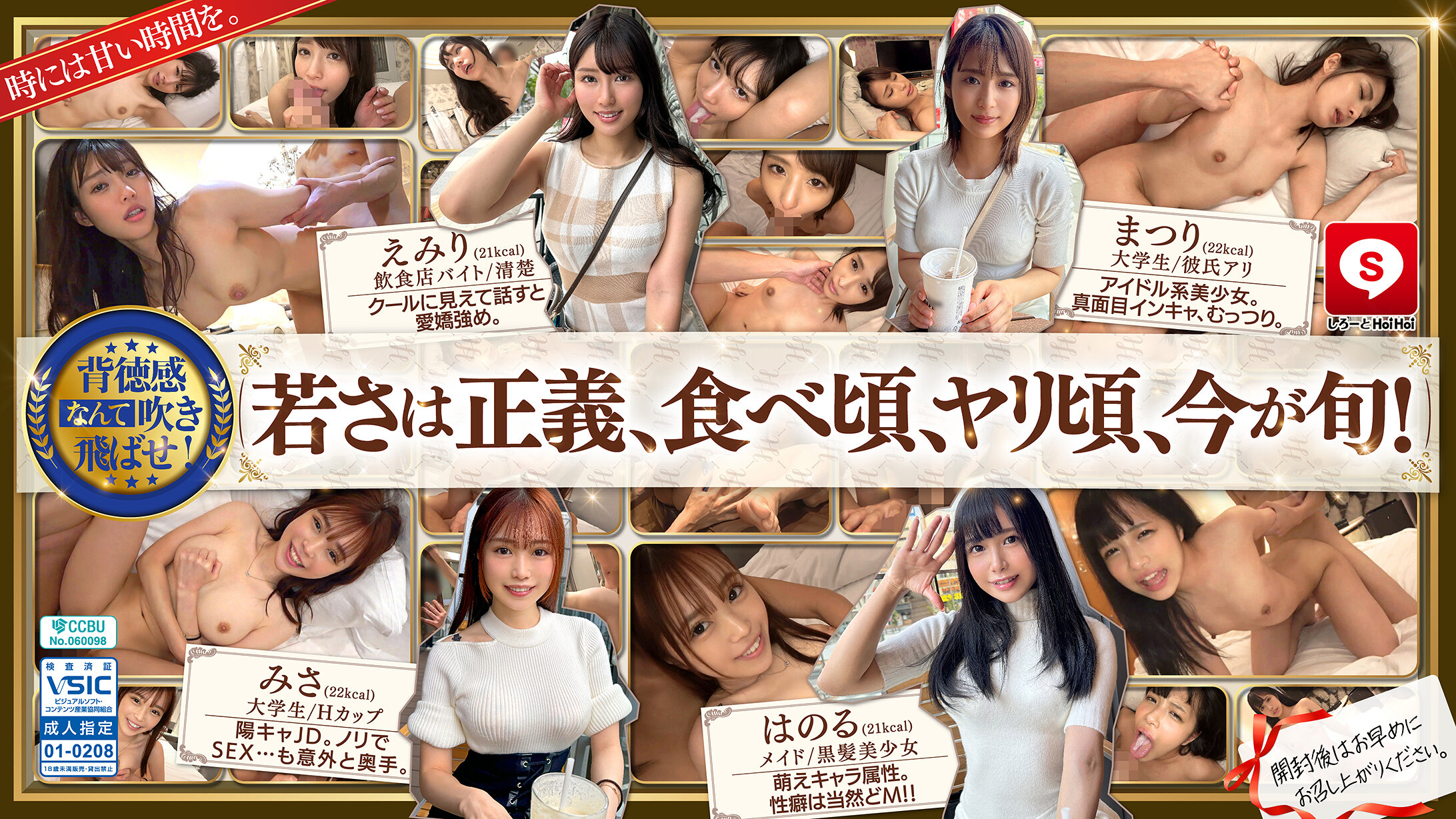 HOIZ162 素人诱惑系列#14：约会APP配对，情人旅馆一夜激情私密拍摄
